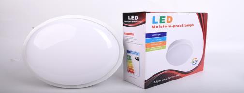 Hublot LED 30 W, série U-BPCS IP65 IK08