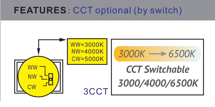 BORNE SALADIN IP65 IK10 CCT SWITCH